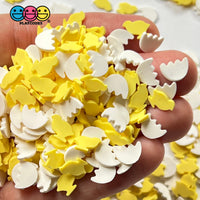 Chicks And Eggshells Mix Faux Sprinkle Fake Bake Confetti Easter Chickee Sprinkles Funfetti 20 Grams