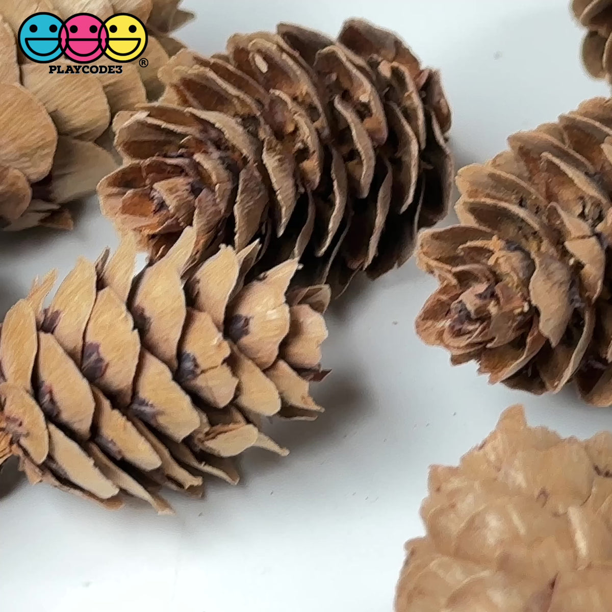 5pcs Hand Selected All Natural Premium Quality Brown Pine Cones