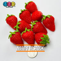 Berries Strawberry FAKE NOT EDIBLE Strawberries Raspberry Blackberry Cherry Fake Fruit Charms - Fake Food