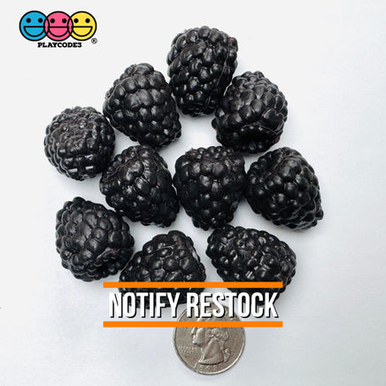Berries Strawberry FAKE NOT EDIBLE Strawberries Raspberry Blackberry Cherry Fake Fruit Charms - Fake Food