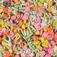 Bunny Chick Carrot Tulip Flower Patch Mix Fimo Faux Sprinkle Fake Bake Easter Funfetti Playcode3 Llc