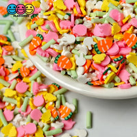 Bunny Chick Carrot Tulip Flower Patch Mix Fimo Faux Sprinkle Fake Bake Easter Funfetti Playcode3 Llc