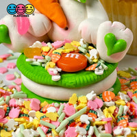 Bunny Chick Carrot Tulip Flower Patch Mix Fimo Faux Sprinkle Fake Bake Easter Funfetti Playcode3 Llc
