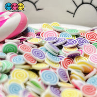 Candy Pinwheel Swirl Multi Color Fimo Slices Fake Clay Sprinkles Decoden Jimmies Sprinkle