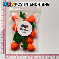 Carrot With Stem Leaf Flatback Charms Cabochons Carrots Easter Decoden 10 Pcs Charm