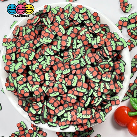 Cherry On Stem Fimo Slices Fake Sprinkles Cherries Fruit Decoden Funfetti Playcode3 Llc Sprinkle