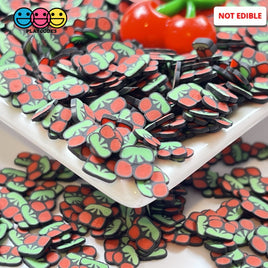 Cherry On Stem Fimo Slices Fake Sprinkles Cherries Fruit Decoden Funfetti Playcode3 Llc Sprinkle