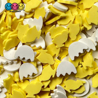 Chicks And Eggshells Mix Faux Sprinkle Fake Bake Confetti Easter Chickee Sprinkles Funfetti