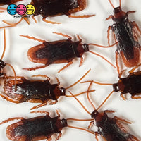 Cockroach Realistic Insect Bug Bendable Plastic Resin Cabochon Charm Halloween Decoden 10 Pcs