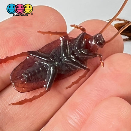 Cockroach Realistic Insect Bug Bendable Plastic Resin Cabochon Charm Halloween Decoden 10 Pcs