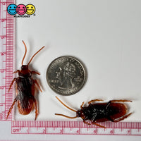 Cockroach Realistic Insect Bug Bendable Plastic Resin Cabochon Charm Halloween Decoden 10 Pcs