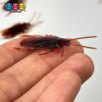 Cockroach Realistic Insect Bug Bendable Plastic Resin Cabochon Charm Halloween Decoden 10 Pcs