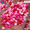 20/100G Confetti Disc Polymer Clay Fake Sprinkles Valentines Day Red Pink Mixed Color Theme