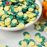Corn On The Cob Slice Fimo Slices Polymer Clay Fake Sprinkles Harvest Funfetti Confetti 10/5 Mm