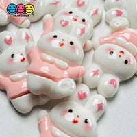 Cute Pink Rabbit Bunny Easter Kawaii Charm Flat Back Cabochons Decoden 10 Pcs