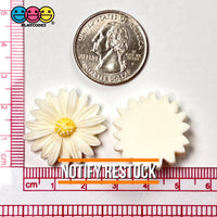 Daisy Flower Flatback Charms Cabochons Flowers Spring Decoden 10 Pcs Charm