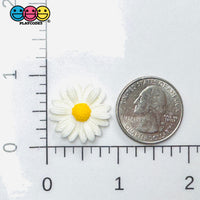 Daisy Flower Flatback Charms Cabochons Flowers Spring Decoden 10 pcs - Charm