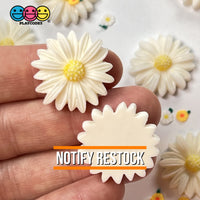 Daisy Flower Flatback Charms Cabochons Flowers Spring Decoden 10 Pcs Charm