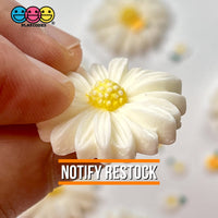 Daisy Flower Flatback Charms Cabochons Flowers Spring Decoden 10 Pcs Charm