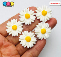 Daisy Flower Flatback Charms Cabochons Flowers Spring Decoden 10 pcs - Charm