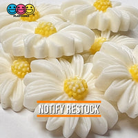 Daisy Flower Flatback Charms Cabochons Flowers Spring Decoden 10 Pcs Charm