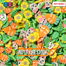 Easter Bunny Carrot Patch Mix Fimo Slices Polymer Clay Fake Sprinkles 20 Grams Sprinkle