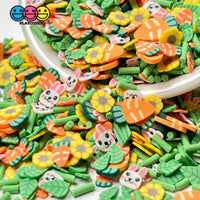 Easter Bunny Carrot Patch Mix Fimo Slices Polymer Clay Fake Sprinkles Sprinkle
