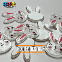 Easter Bunny Holiday Rabbit Kawaii Flatback Cabochons Decoden Charm 10 Pcs Playcode3 Llc