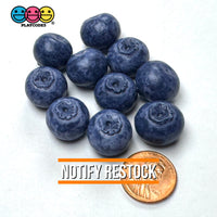 Fake Blackberry Berries Faux Food Realistic NOT EDIBLE Cabochons Decoden Charm 10 pcs PLAYCODE3 LLC Charm