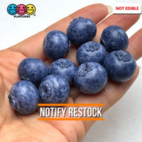 Fake Blackberry Berries Faux Food Realistic NOT EDIBLE Cabochons Decoden Charm 10 pcs PLAYCODE3 LLC Charm
