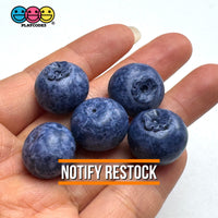 Fake Blackberry Berries Faux Food Realistic NOT EDIBLE Cabochons Decoden Charm 10 pcs PLAYCODE3 LLC Charm