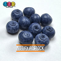 Fake Blackberry Berries Faux Food Realistic NOT EDIBLE Cabochons Decoden Charm 10 pcs PLAYCODE3 LLC Charm
