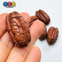 Fake Pecan Realistic Looking NOT EDIBLE Nuts Flatback 3D Charms for Fake Bake Slime Supplies Decoden (5pcs) Fake Food