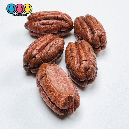 Fake Pecan Realistic Looking NOT EDIBLE Nuts Flatback 3D Charms for Fake Bake Slime Supplies Decoden (5pcs) Fake Food