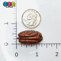 Fake Pecan Realistic Looking NOT EDIBLE Nuts Flatback 3D Charms for Fake Bake Slime Supplies Decoden (5pcs) Fake Food