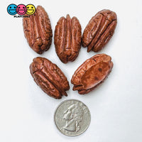 Fake Pecan Realistic Looking NOT EDIBLE Nuts Flatback 3D Charms for Fake Bake Slime Supplies Decoden (5pcs) Fake Food