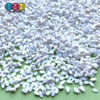 Sesame Seed Clay Sprinkles Realistic Fake Food 20/100G 100 Grams / White Sprinkle