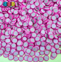 Clay Sprinkles Fruit Fimo Slices 11 Types 20 Grams / Dragon Fruit Sprinkle