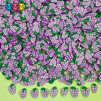 Clay Sprinkles Fruit Fimo Slices 11 Types 20 Grams / Grape Sprinkle