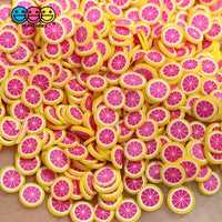 Clay Sprinkles Fruit Fimo Slices 11 Types 20 Grams / Grapefruit Sprinkle