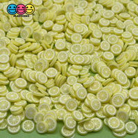 Fimos Fruit Slices 12 Fimo Polymer Clay Fake Sprinkles Types Decoden Jimmies Sprinkle