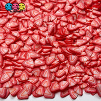 Fruit Fimo Slices 12 Fruits Polymer Clay Fake Sprinkles Types Decoden Jimmies Sprinkle