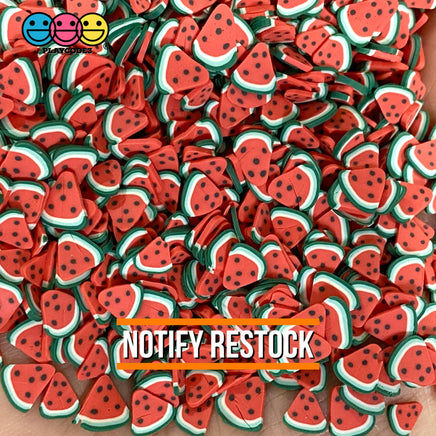 Clay Sprinkles Fruit Fimo Slices 11 Types 20 Grams / Watermelon Sprinkle