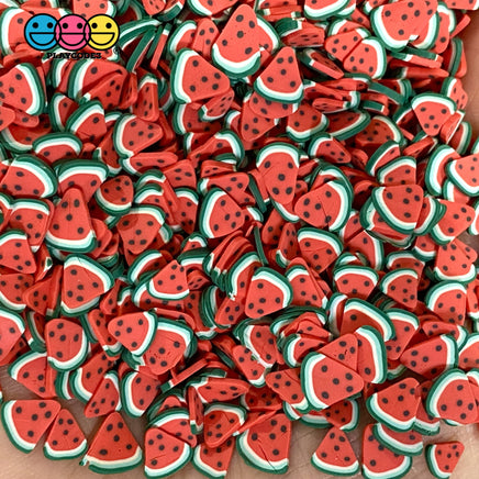 Clay Sprinkles Fruit Fimo Slices 11 Types 20 Grams / Watermelon Sprinkle