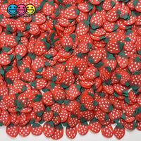 Fruit Fimo Slices 12 Fruits Polymer Clay Fake Sprinkles Types Decoden Jimmies Sprinkle