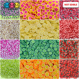 Fruit Fimo Slices 12 Fruits Polymer Clay Fake Sprinkles Types Decoden Jimmies Sprinkle