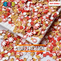 Gingerbread Mans Peppermint Paradise Fimo Fake Sprinkle Mix Christmas Funfetti 20 Grams