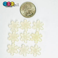 Glitter Snowflake White Blue Christmas Holiday Flatback Cabochons Decoden Charm 9/10 Pcs