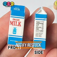Grocery Items Set Milk Yogurt Ketchup Ice Cream Miniature Charms Cabochon Dollhouse 5 Pcs Charm