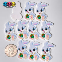 Happy Easter Theme Bunny Rabbit Eggs Planars Holiday Planar Decoden 10 Pcs Bunny